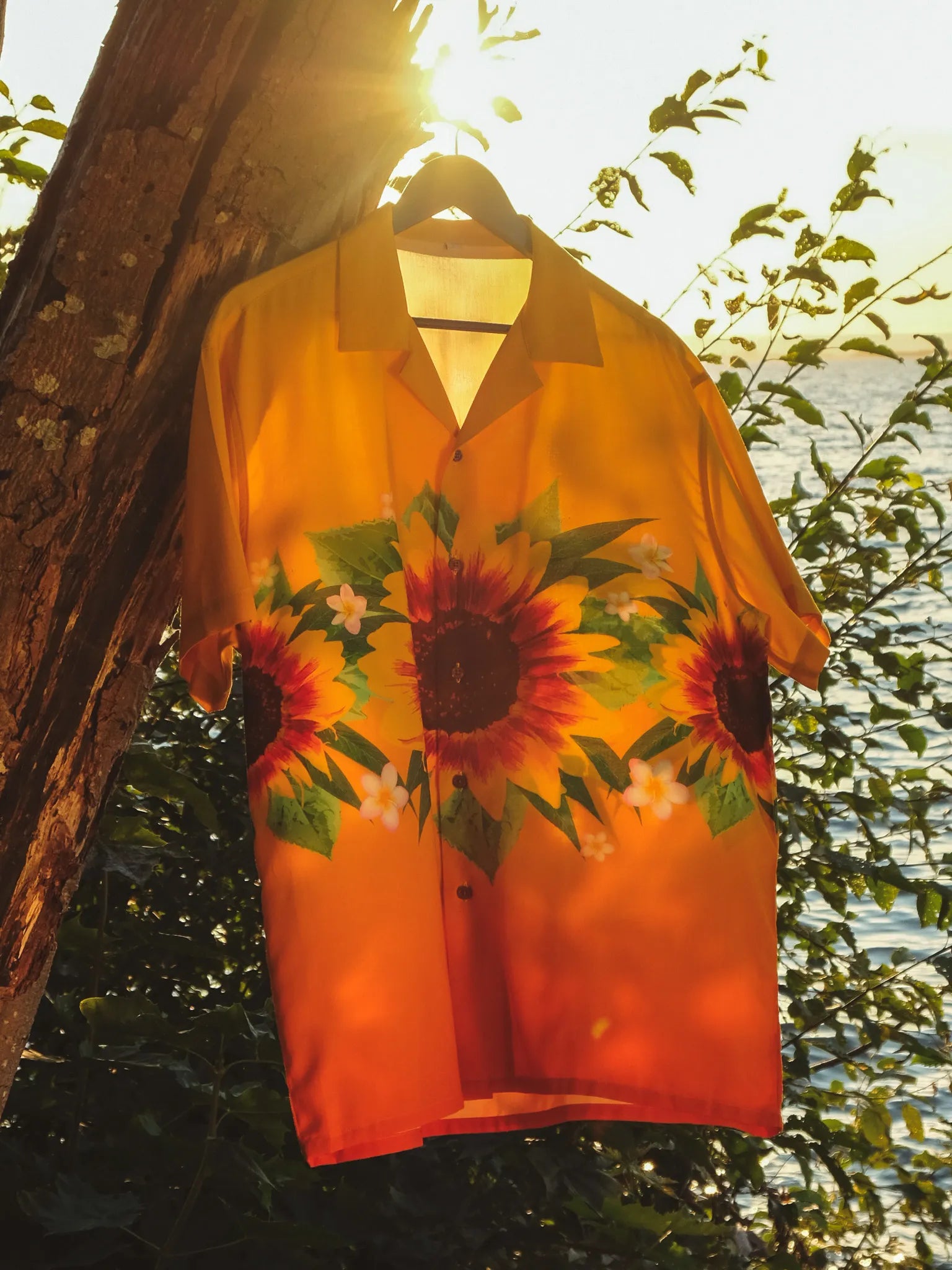 Omnia Bona Sunflower shirt '24 Orange